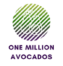 One Million Avocados